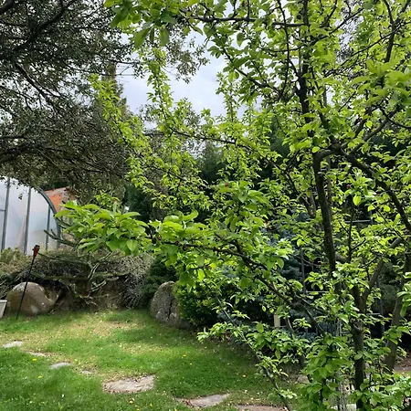 Villa Con Jacuzzi Exterior Y Piscina Cubiertos Los Ángeles de San Rafael